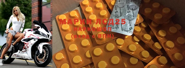 ПСИЛОЦИБИНОВЫЕ ГРИБЫ Верхнеуральск