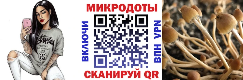 Галлюциногенные грибы GOLDEN TEACHER Северодвинск